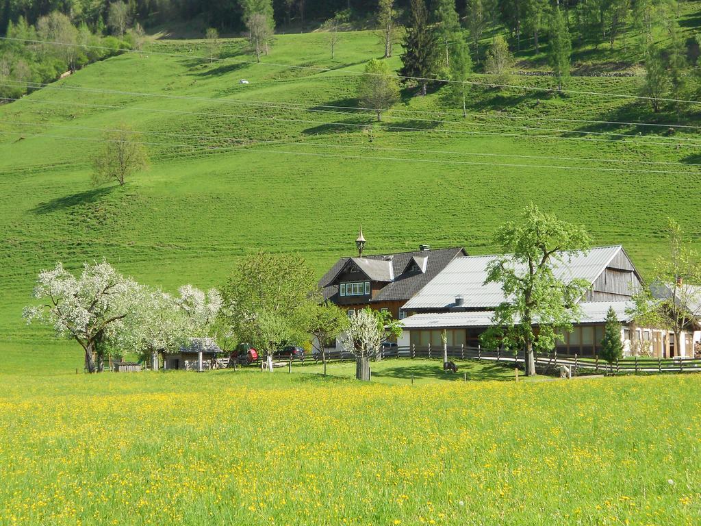 Weitgasserhof 슈라드밍 외부 사진